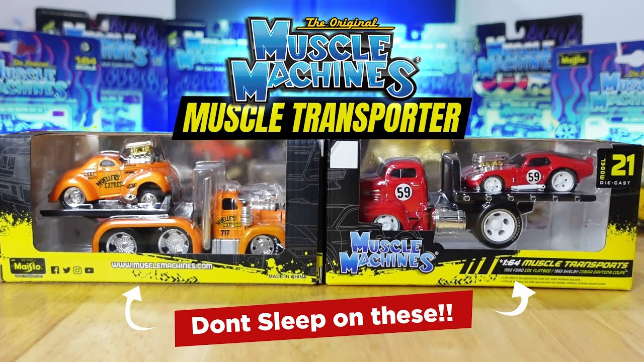 Muscle Machines - Muscle Transports Review