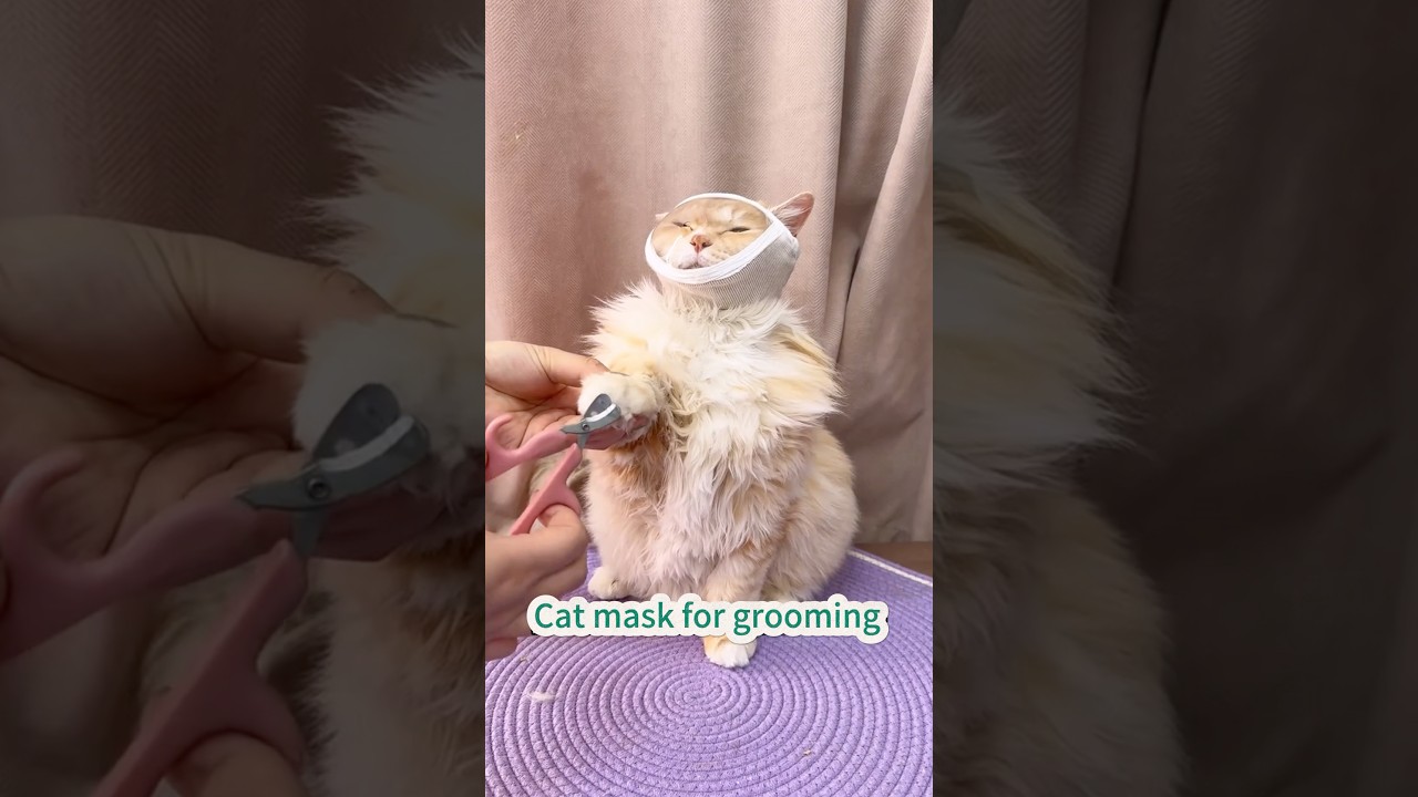 Cat mask for grooming #petpet #pets #bestpetsupplies