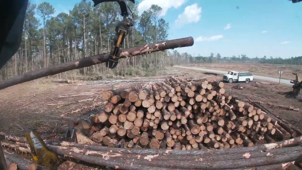 Heavy Equipment Logging Operation