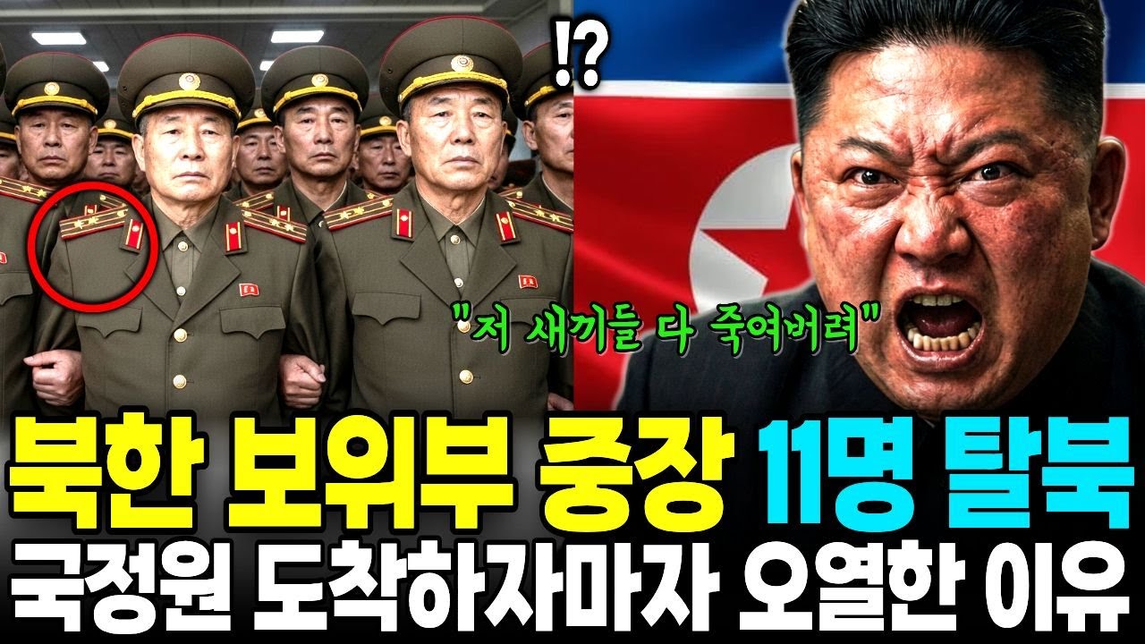 북한 보위부 중장 11명 탈북, 국정원에 도착하자마자 오열한 이유 | 탈북사연 | 북한사연 | AI 시나리오