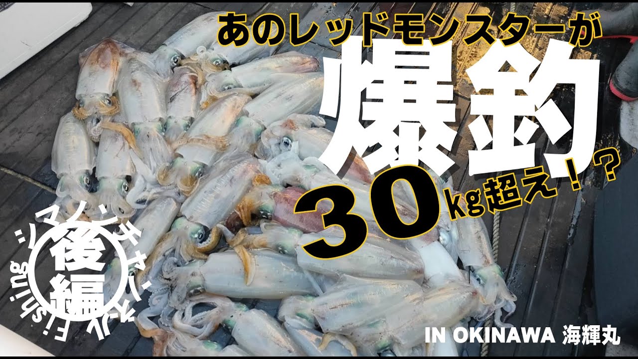 【アオリイカ30㎏オーバー】　ティップラン、エギング、レッドモンスター　（後編）