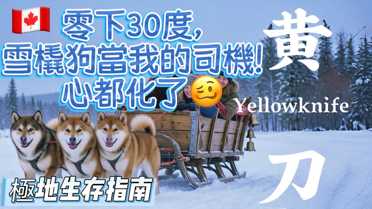 【加拿大黃刀鎮極光之旅1】黃刀鎮零下30度, 雪橇狗拉着我跑！｜狗拉雪橇｜抗凍穿衣干貨｜狗狗帶來的浪漫｜