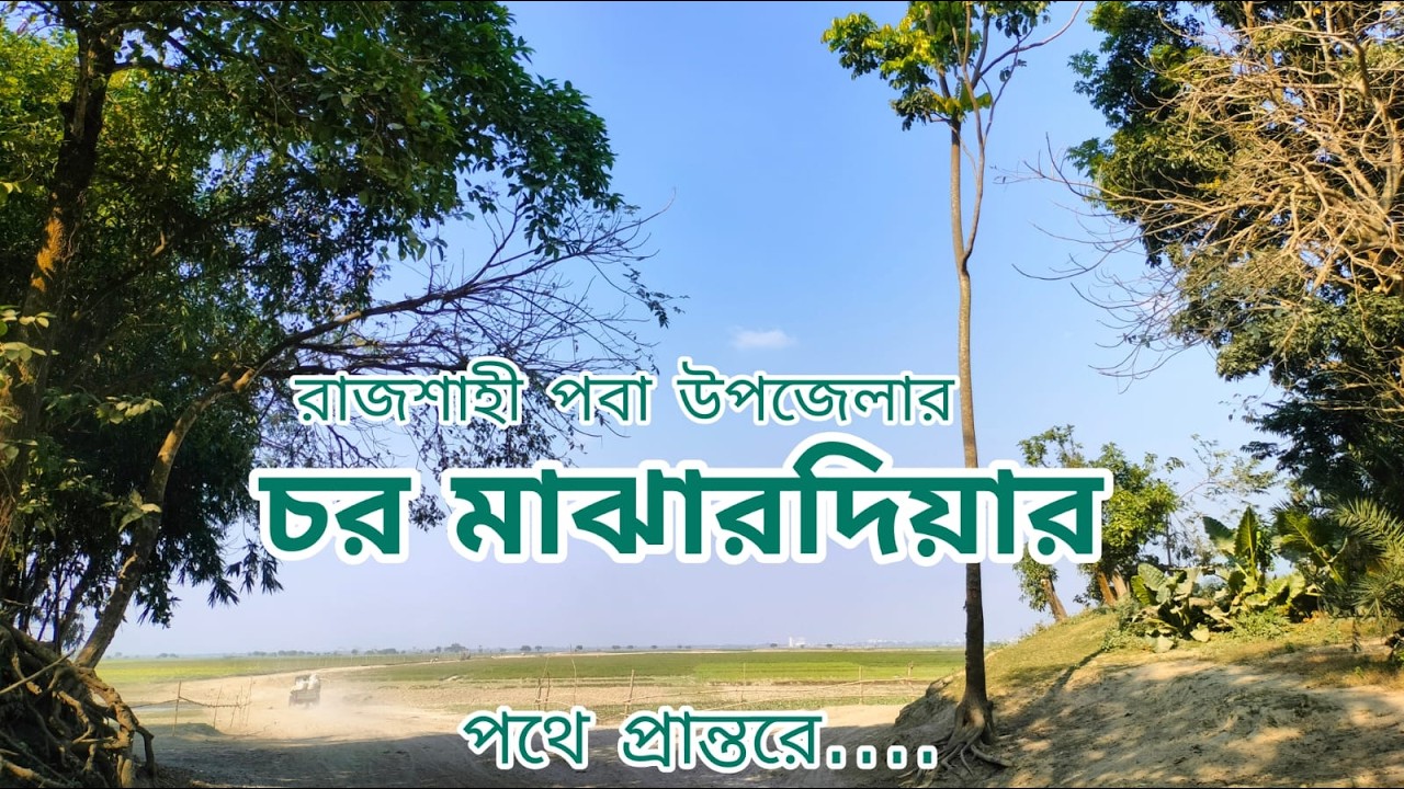 পদ্মার চর মাঝারদিয়ার বৈচিত্র্যময় জীবন ও প্রাকৃতিক সৌন্দর্য• Padma Char Majhardiyar lifestyle