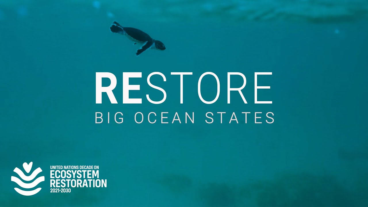 By fighting climate change, small islands discover wealth in the ocean