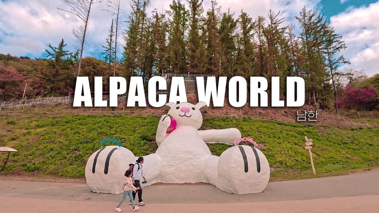 Alpaca World South Korea Walking Tour! The ULTIMATE Guide!