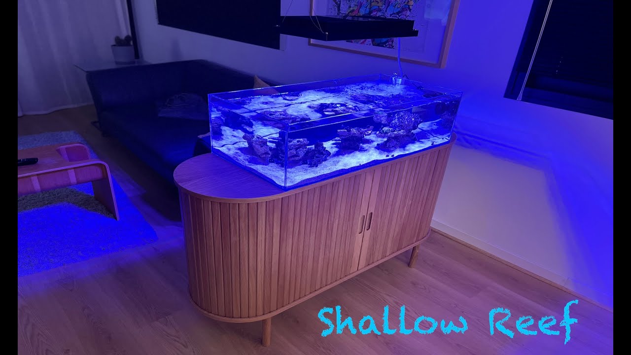 NANO SHALLOW  REEF Aquarium Relaxation  - Nano Shallow Tank