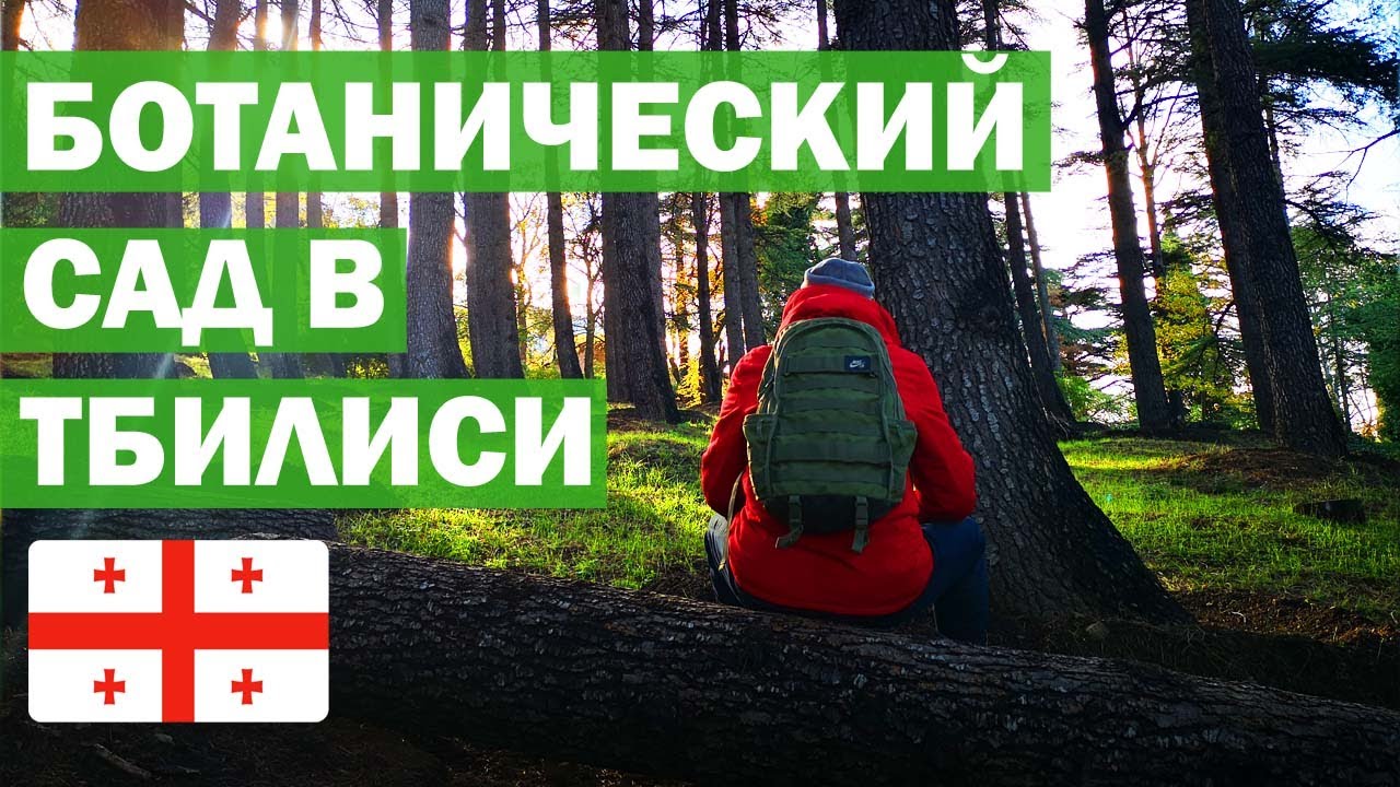 Ботанический сад Тбилиси. Что посмотреть в Грузии? Самый крутой отдых в Тбилиси!