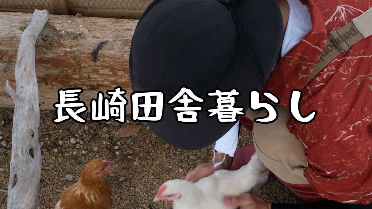 ニワトリと耕作放棄地と僕について｜長崎田舎暮らし