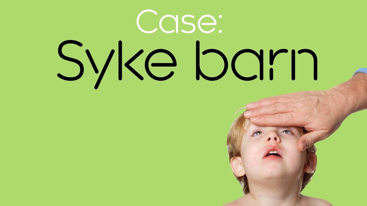 Case 6: Syke barn