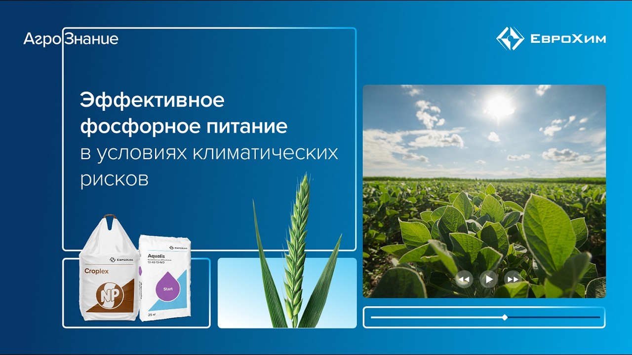 Вебинар 