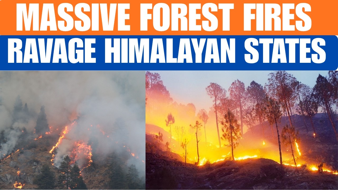 Massive Forest Fires Ravage Himachal, Uttarakhand And Jammu & Kashmir | News9