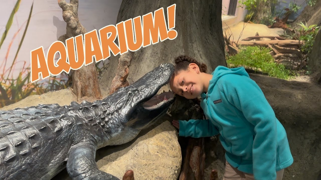 Our Family Aquarium Day | So Much Fun for the Kids!