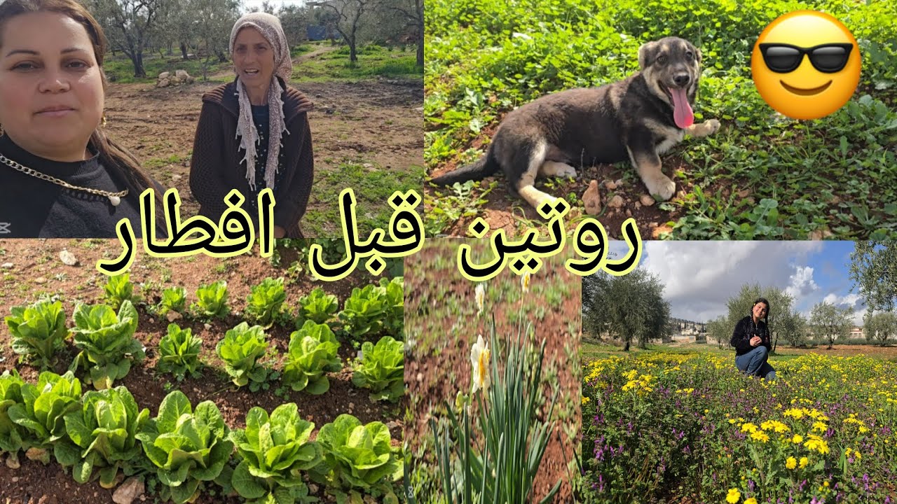 روتين قبل الافطار على طلب المتابعين#اكسبلور 
