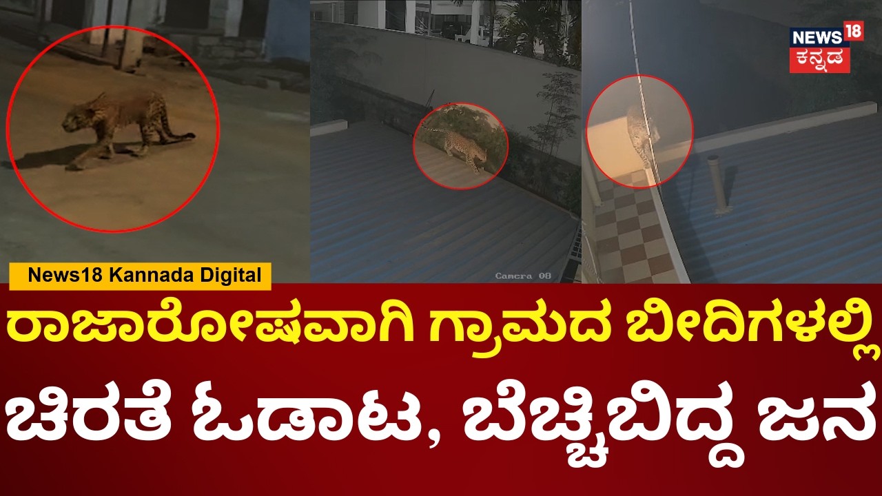 Big Cat Roams Streets of Bengaluru South! | ಬಿಡದಿ ಬಳಿಯ ಕಲ್ಲುಗೋಪಳ್ಳಿ ಗ್ರಾಮಸ್ಥರಿಗೆ ಚಿರತೆ ಭೀತಿ | N18V