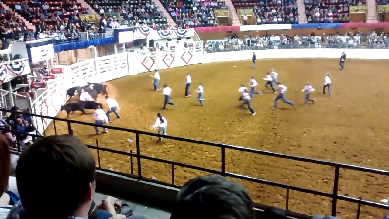 Fortworth Stock show Part 2 - Calf Scramble
