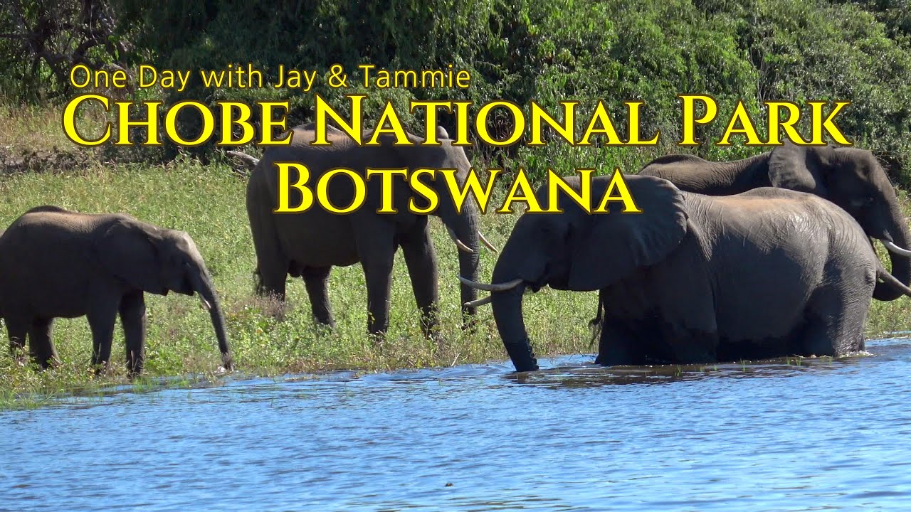 One Day in Chobe National Park, Botswana