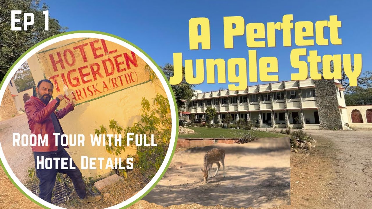 Best Hotel in Sariska jungle for budget travellers | Hotel Tiger Den | Room details with tariff