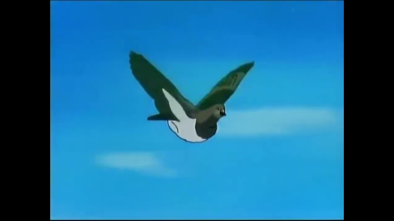 Film Perjuangan Merpati Pos Pulang Ke rumahnya tempat dilahirkan 💪🏆🙏🔥😍