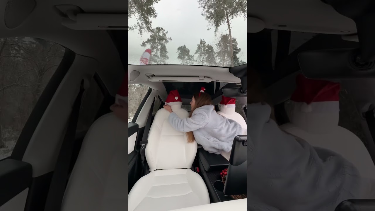 Diy Christmas decor for car 🎊 #tesla #christmas #diy #shortsviral