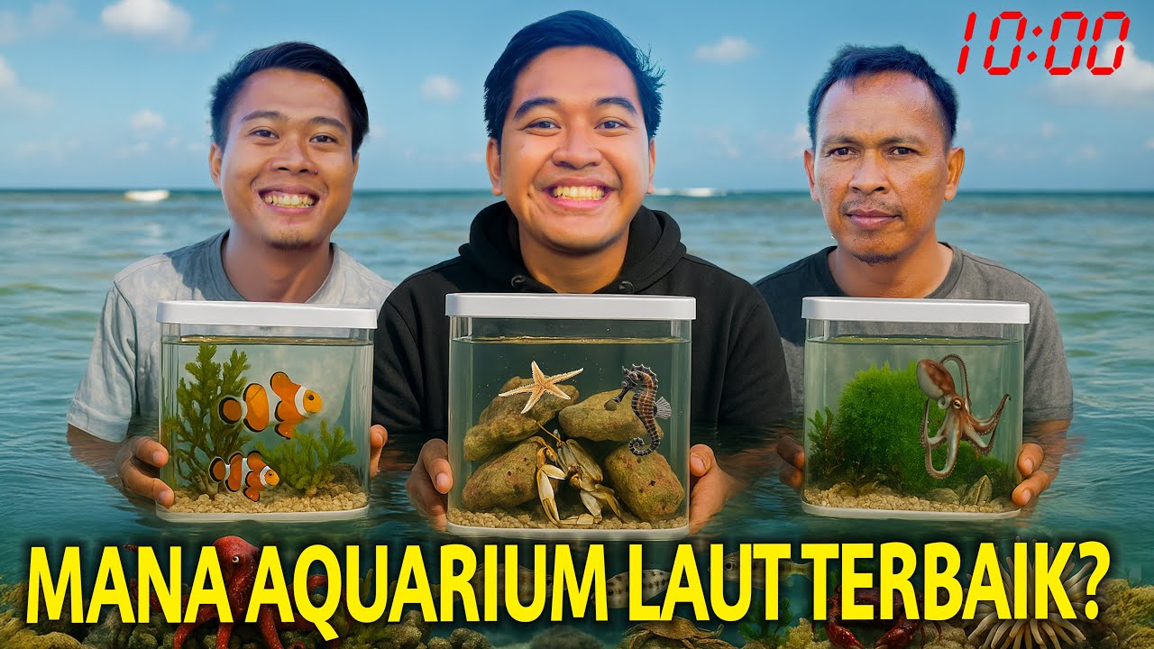 BUAT AQUARIUM MINI AIR LAUT LANGSUNG DI PANTAI SURUT! LOMBA YANG MANAKAH HASIL YANG TERBAIK?!