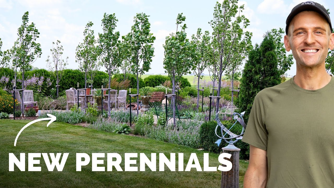 New Perennials By My 18 New Trees!