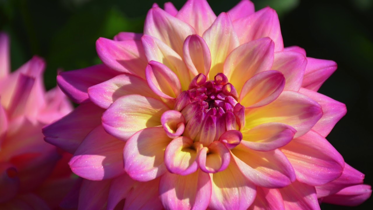 Soleil, chaleur, lumière et création