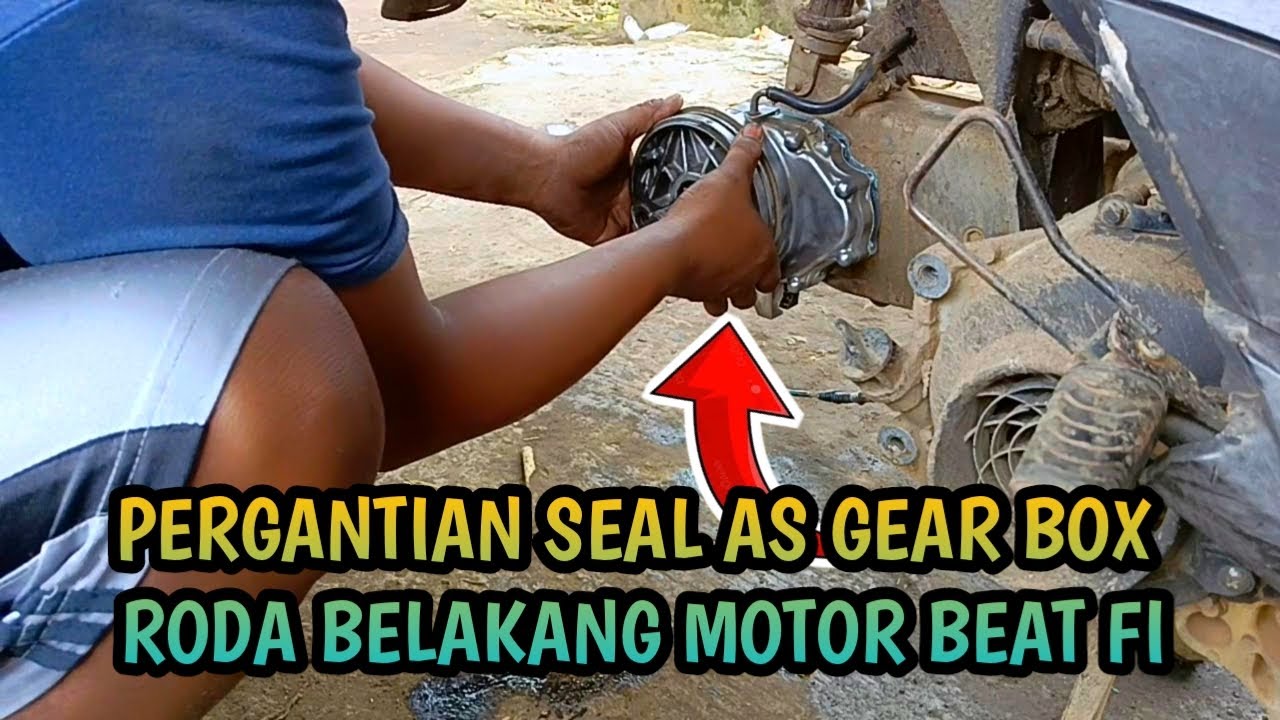 PERGANTIAN SEAL AS RODA GEAR BOX ll bocor  oli gardan cvt