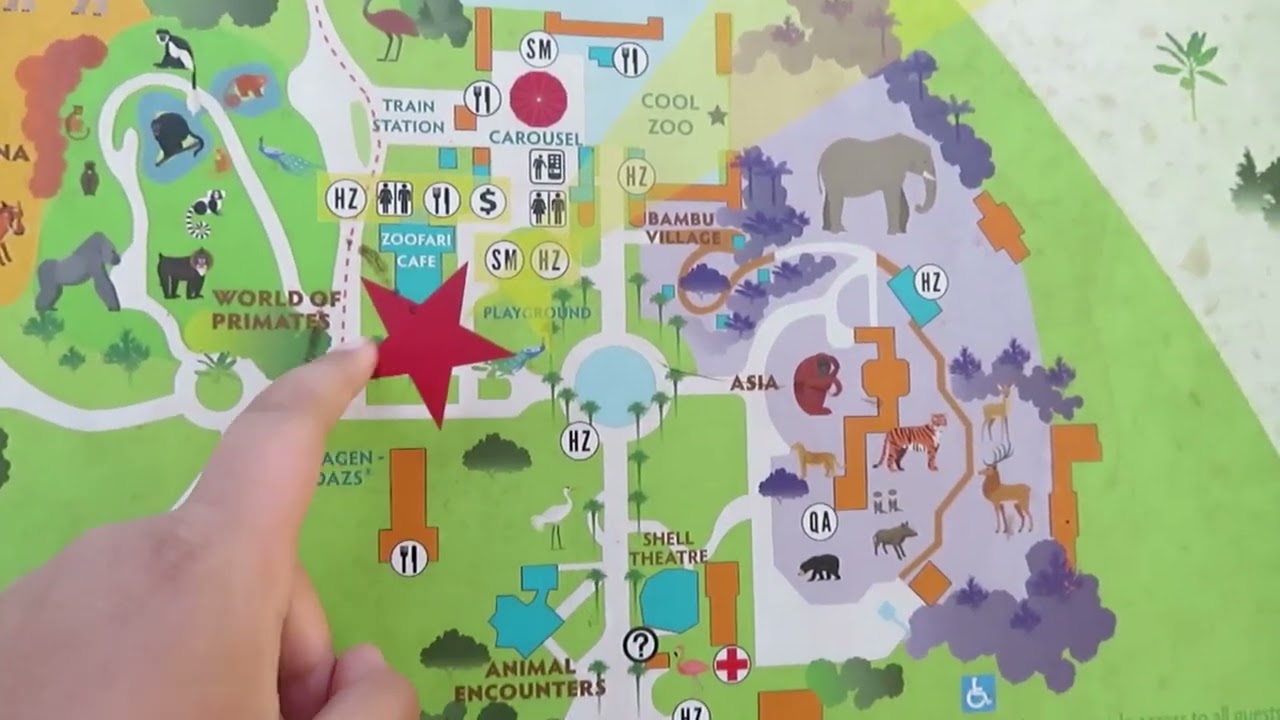 Audubon Zoo Full Tour 2022