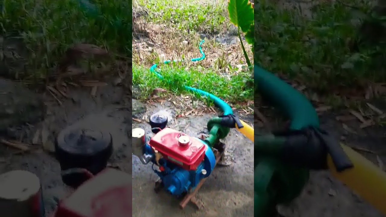 4hp New Diesel engine.... #honda #water #pump #kishan #kishan #farmer #shorts