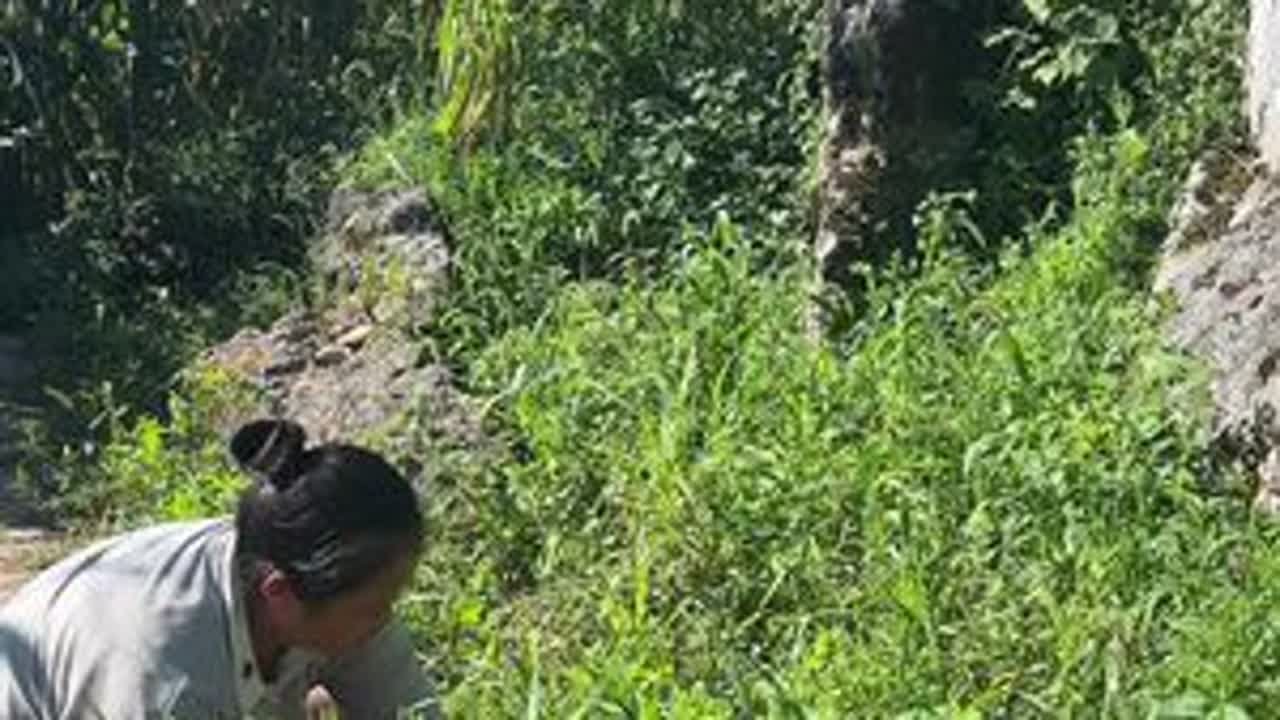#农村生活主打一个不能闲着 #我的乡村生活