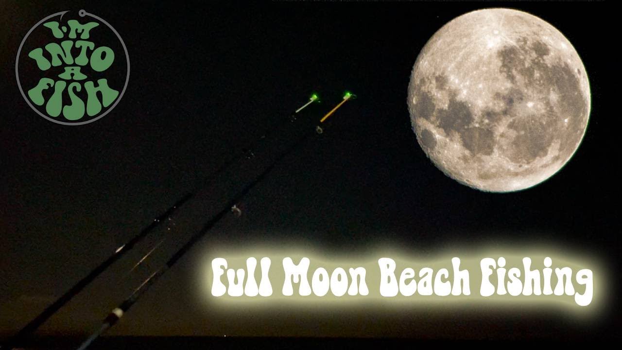 Fishing under a Full Moon - Night session on Southbourne Beach