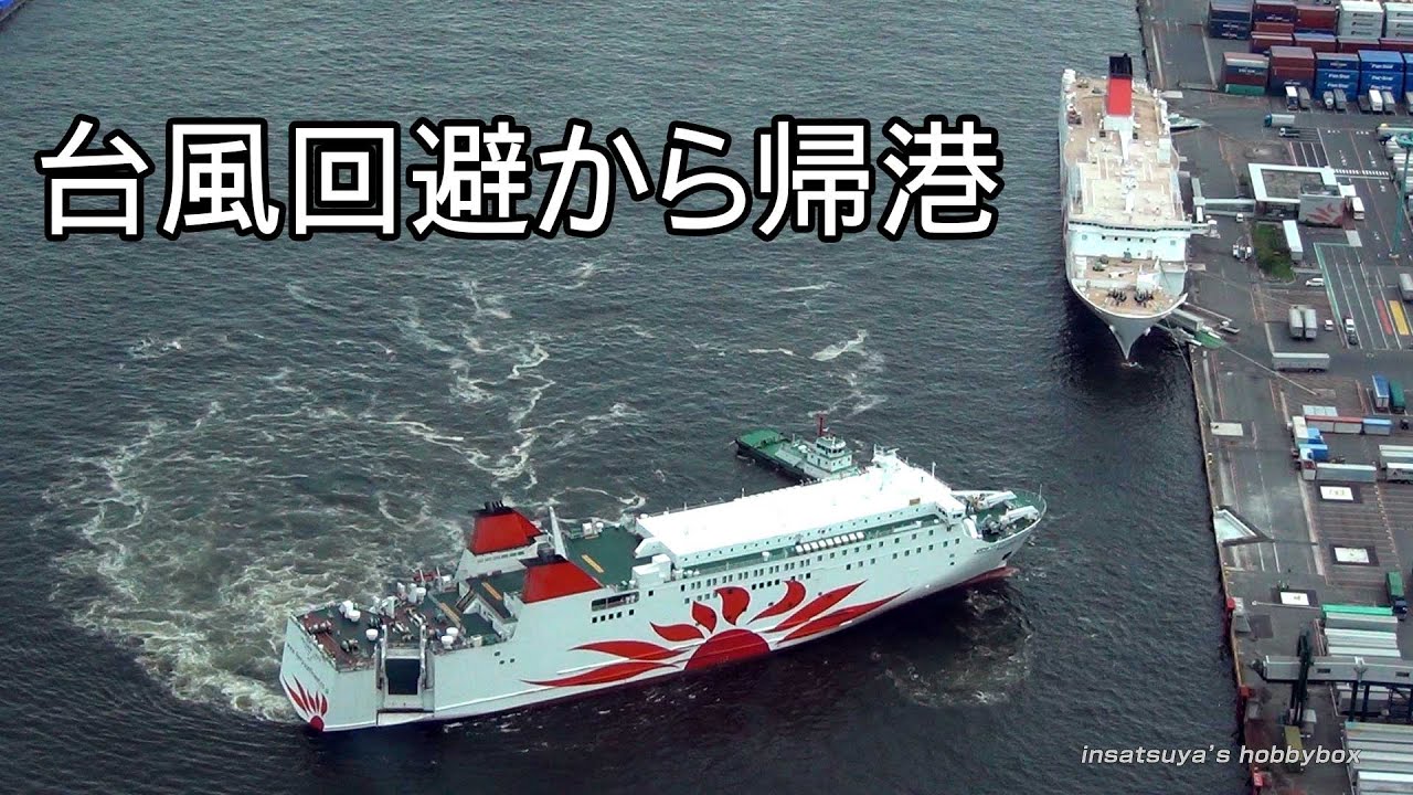 さんふらわあ こばると 台風回避から大阪南港へ帰港