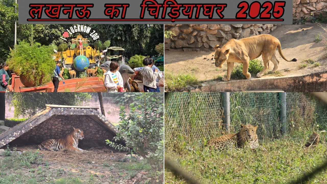 Lucknow Zoo Full Tour 2025 || Nawab wajid ali shah zoological garden || Lucknow chidiya ghar ||
