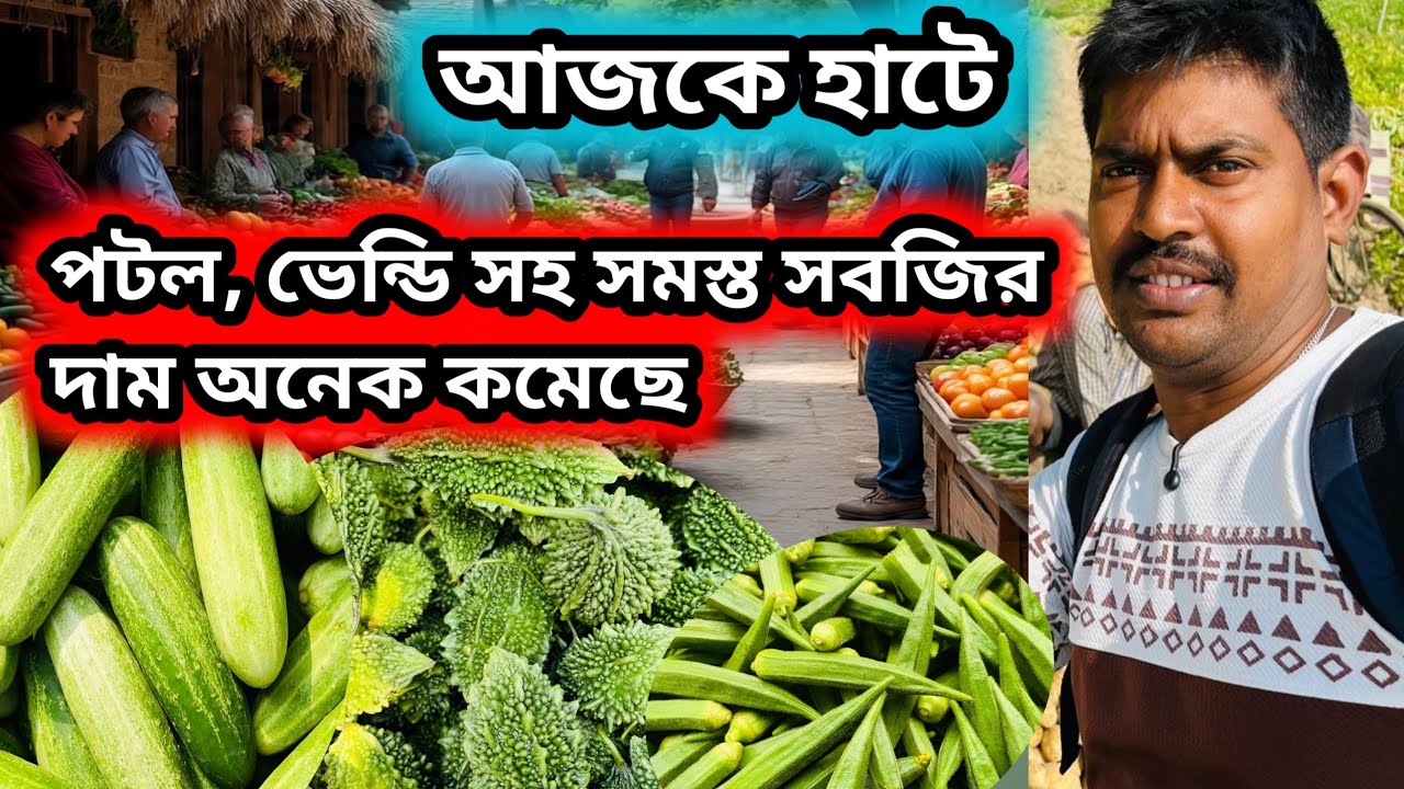 আজকে পটল ভেন্ডি সহ সমস্ত সবজির দাম কম || wholesale vegetable market #vegitable 