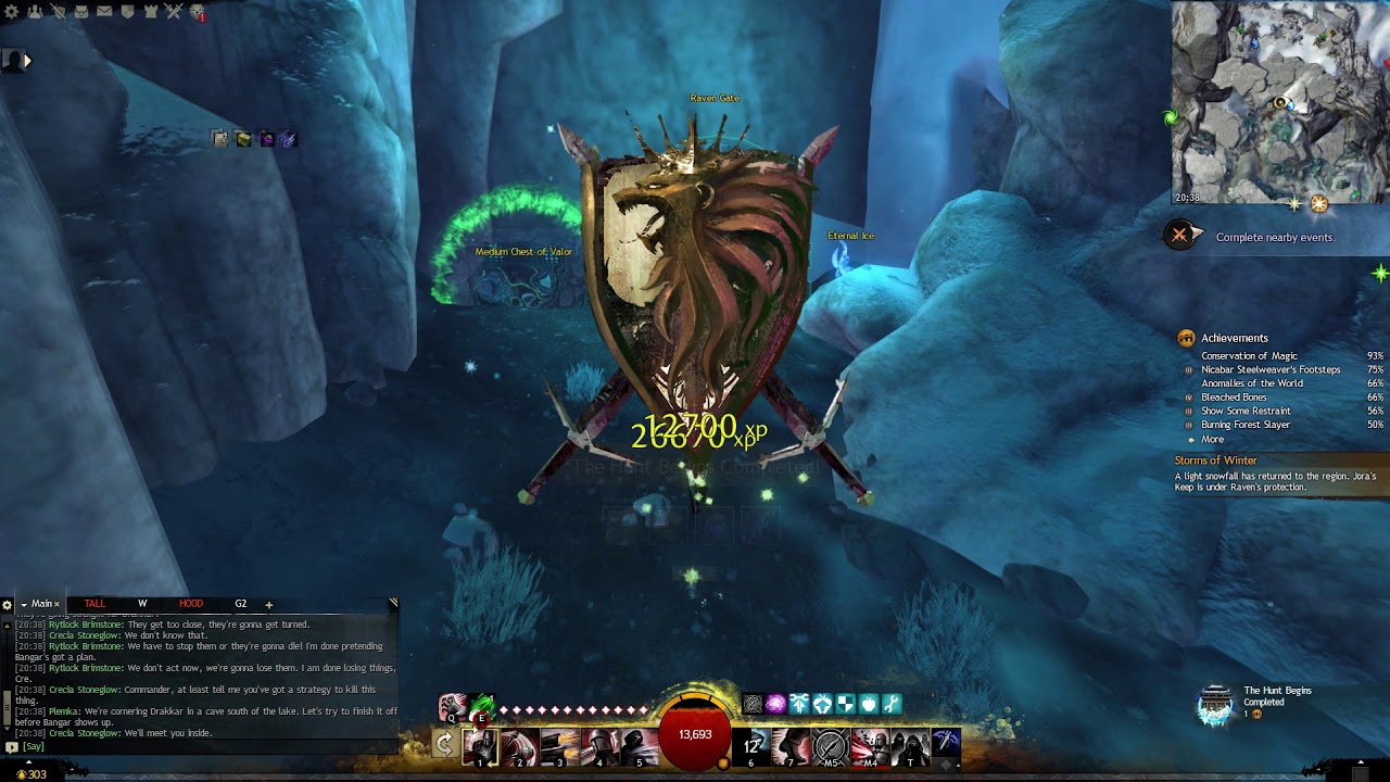 Guild Wars 2 (Bjora Marches) - Idolatry collection