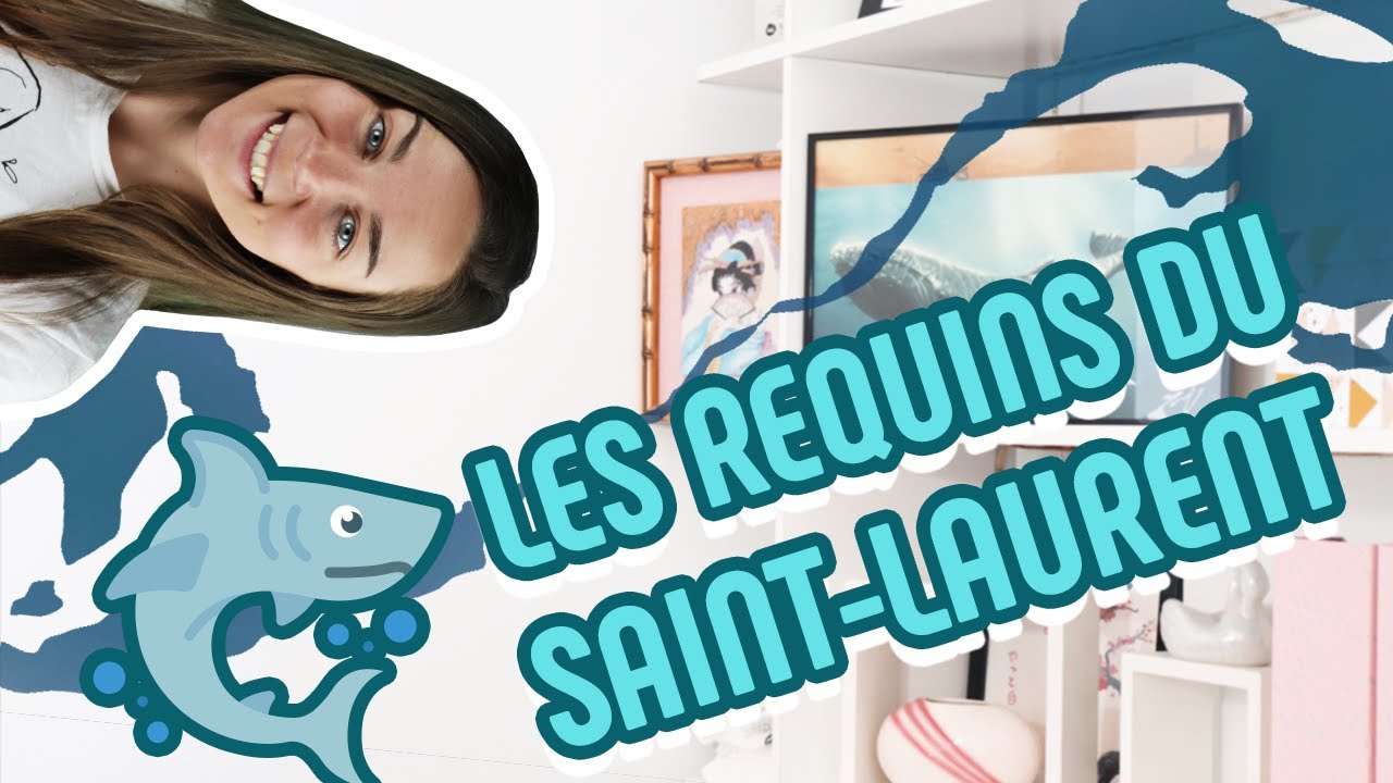 12  - Les requins du Saint-Laurent