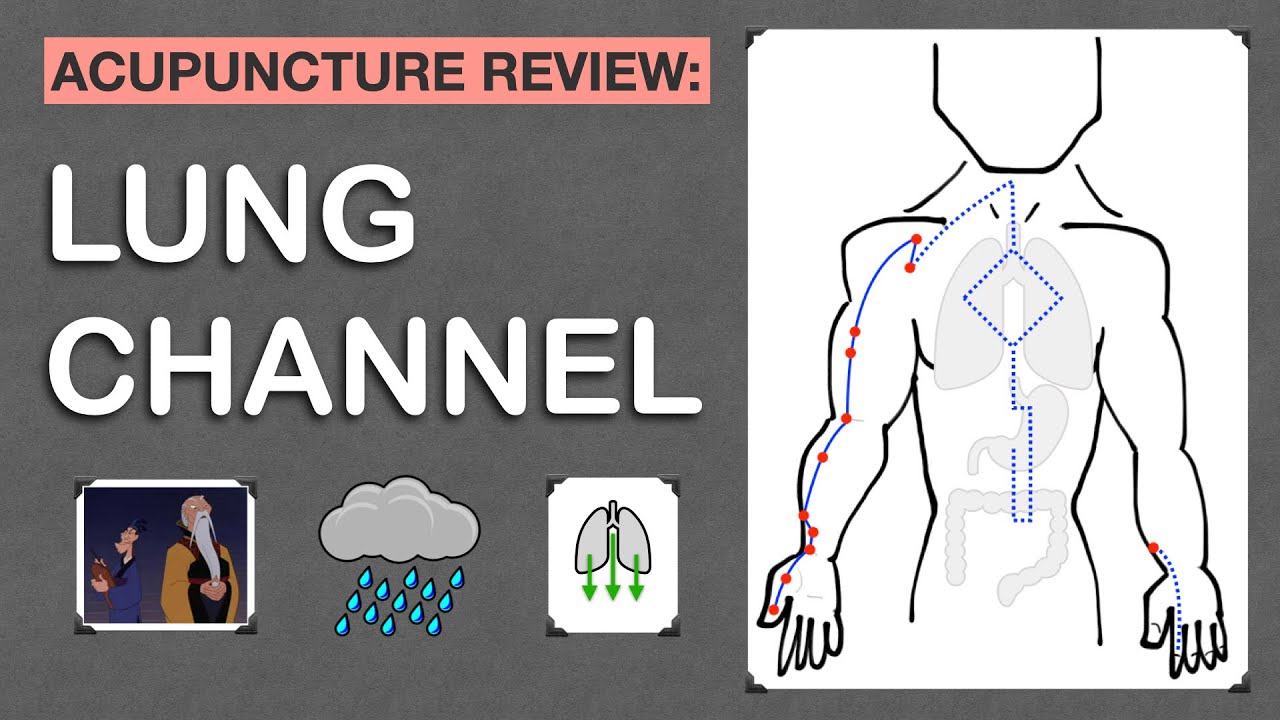 Points Review: Lung Channel Acupuncture Meridian