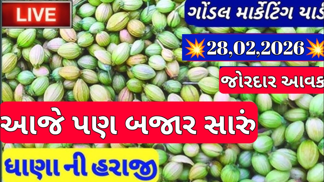 ગોંડલ નવા ધાણા ના બજાર ભાવ / ધાણા ના બજાર ભાવ /આજના ધાણા ના ભાવ /28,02,2026