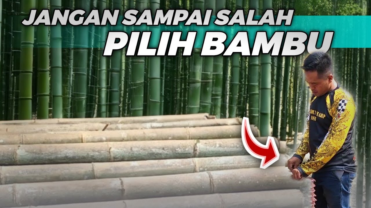 CARA MEMILIH BAMBU YANG BAGUS DAN BENAR UNTUK LAYANGAN SUKHOI || LAYANGAN ADUAN