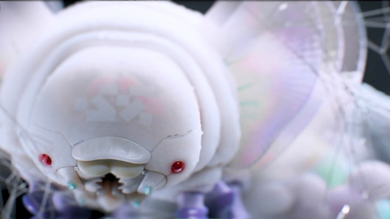 INTRODUCING: Sekiguchi