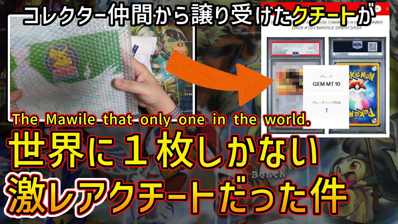【ポケカ】コレクター仲間から世界に1枚しかないクチートを譲り受けた話｜無限回収の成果報告：2026年1月【Mawile Lab: Field Report】