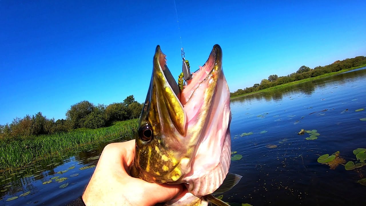 ЛОВЛЯ ЩУКИ ОСЕНЬЮ на РЕКЕ | ОБЗОР ПРИМАНОК от FISH MAGNET