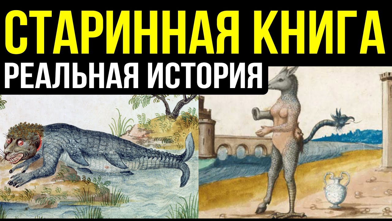 ✅Настоящая история мира, а не выдумка учёных. Николас Витсен Аудиокнига часть 2.