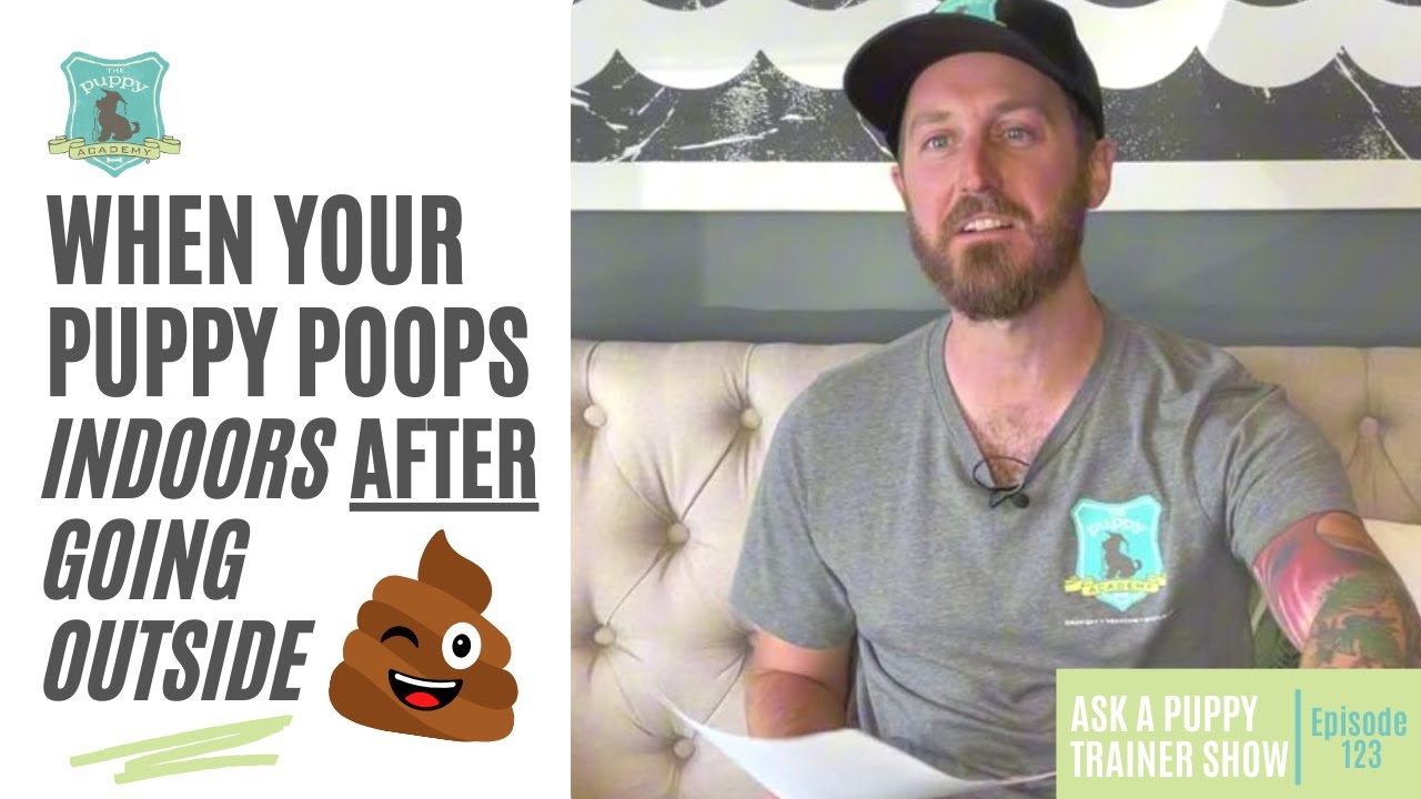 When Your Puppy Poops  Indoors After Pottying Outdoors | AAPTS Ep. 123
