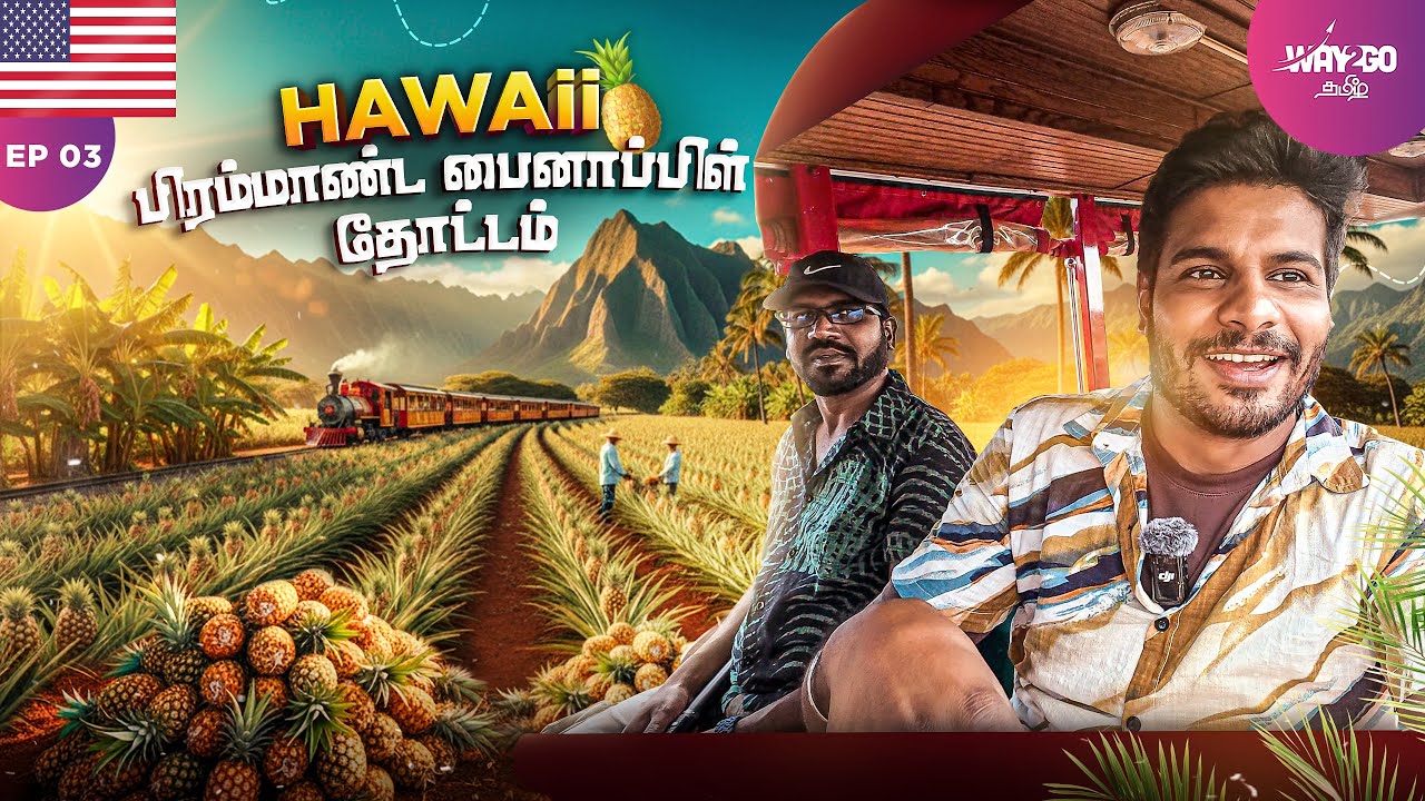 HAWAII Beachல இரவு விருந்தும்🐟 காய்த்து தொங்கும்  பைனாப்பிள் தோட்டமும் 🍍| Episode 3