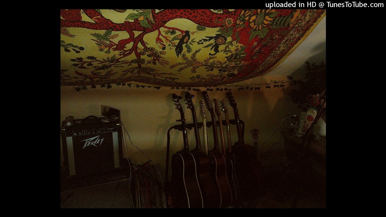 indie folk type beat 