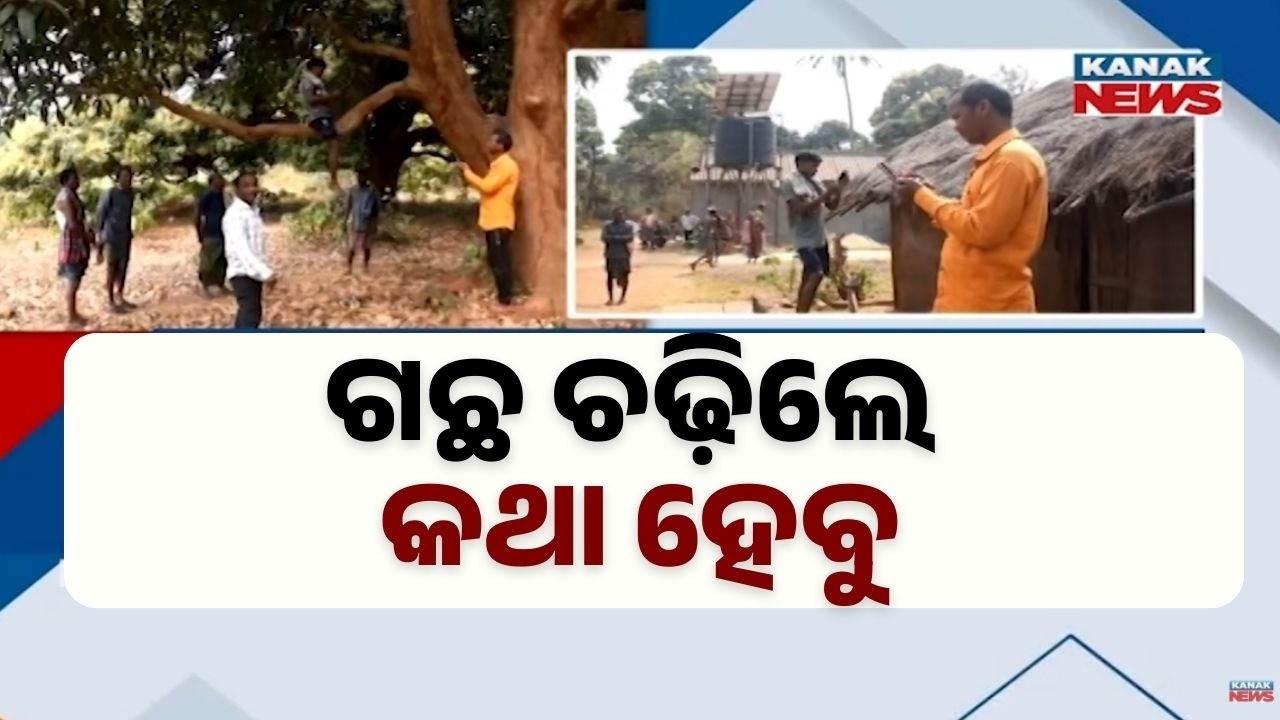 Digital India Fails in Rural Odisha? Villagers Climb Trees for Mobile Network in Dhenkanal