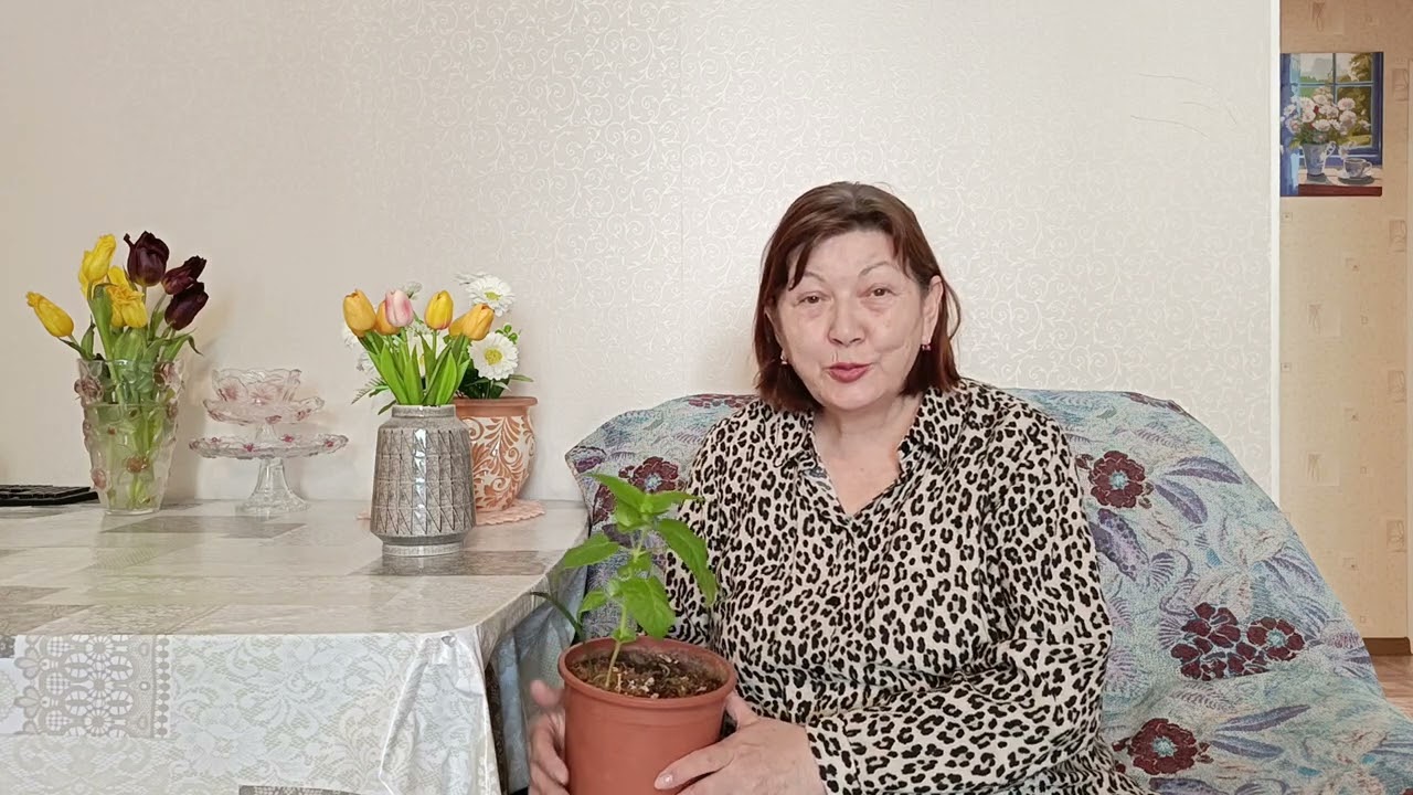  Моя красавица проснулась