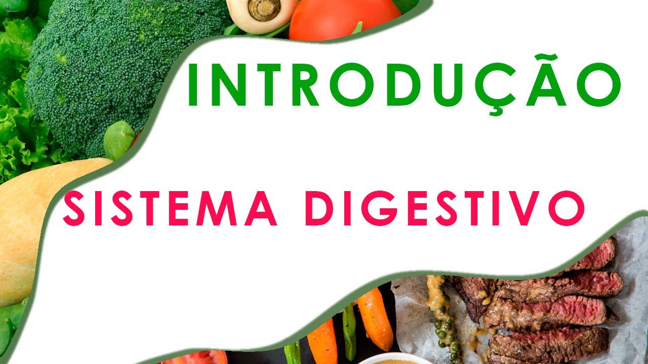 Introdução ao sistema digestivo