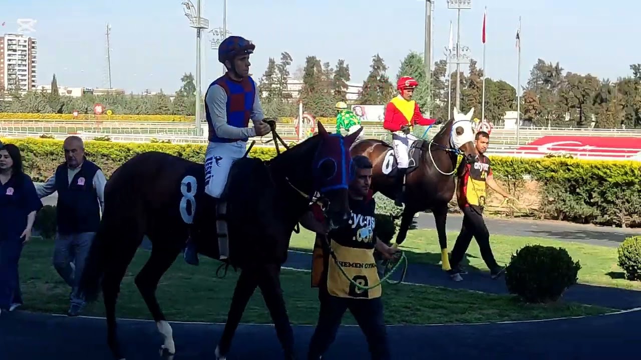 TJK ZERO TO HERO, OGIBOR, SIR ANTHONY 15.03.2025 ADANA 5. KOŞU